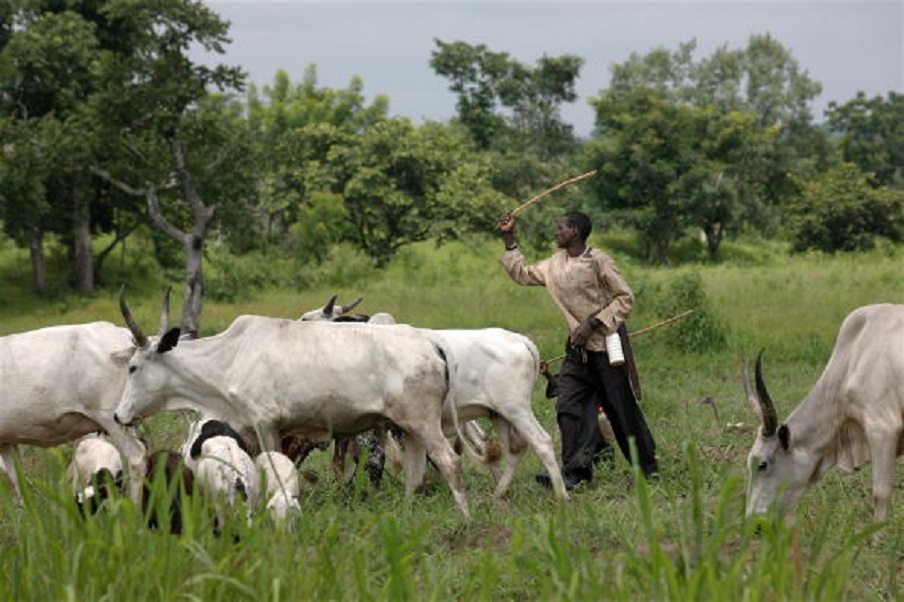FG releases N6.25bn for cattle ranches to curb banditry