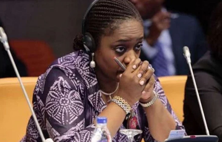 I wept daily for three months during my NYSC certificate saga – Adeosun