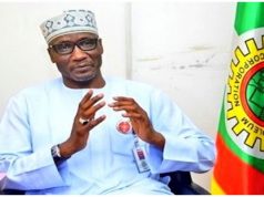 Nigeria sold $1bn worth of natural gas to Portugal in 2022 - NNPC
