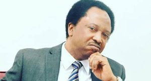 Shehu Sani lambasts El-Rufai, Amaechi over ‘hypocritical criticism’ of Tinubu