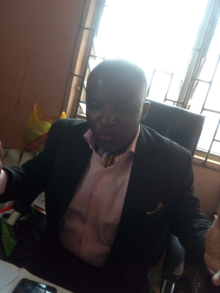 Shola Jesuseitan, Petdavella CEO