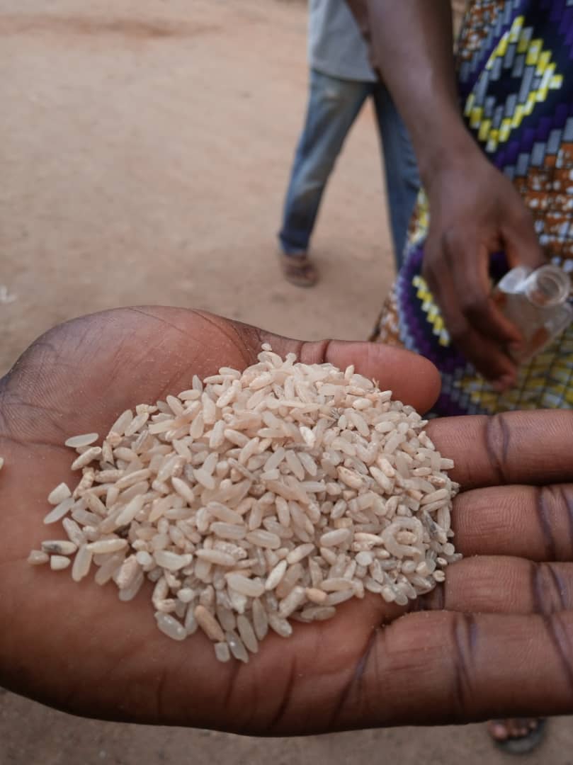 Anxiety in Ogun, Lagos over alleged ‘lethal rice’ in circulation