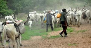 Fulani herders