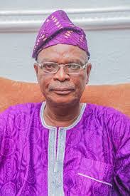 Wole Oyebamiji, Osun SSG