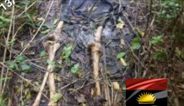 Biafra separatists buried in graves