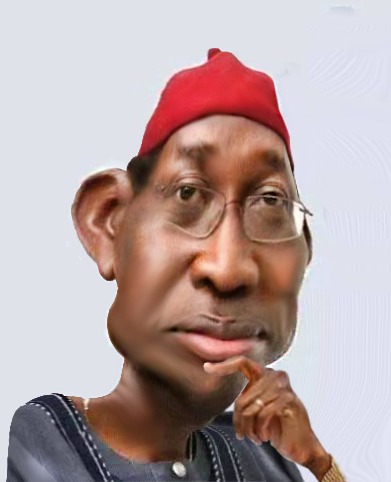 Running Mate: You've betrayed us - Afenifere, Ohanaeze, PANDEF, MBF slam Okowa
