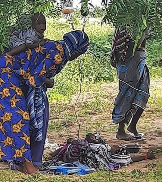 Cholera kills seven, 71 hospitalised in Adamawa