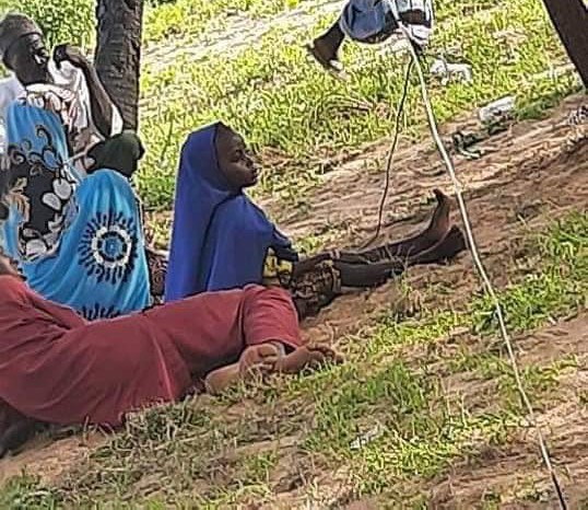 WHO announces global resurgence of cholera as 1,900 dies from disease