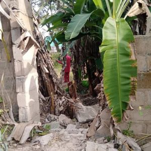 Elliot Uko's farm invaded by Fulani herdsmen