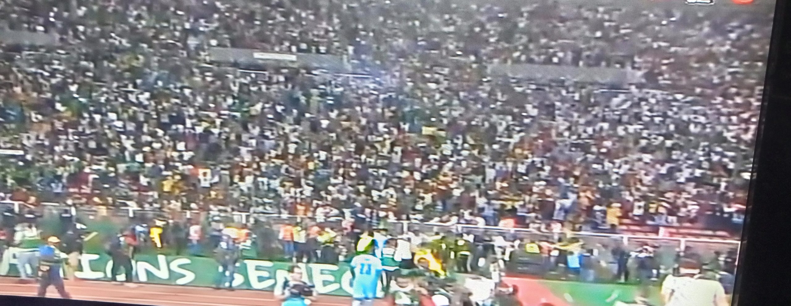 Fans celebrate