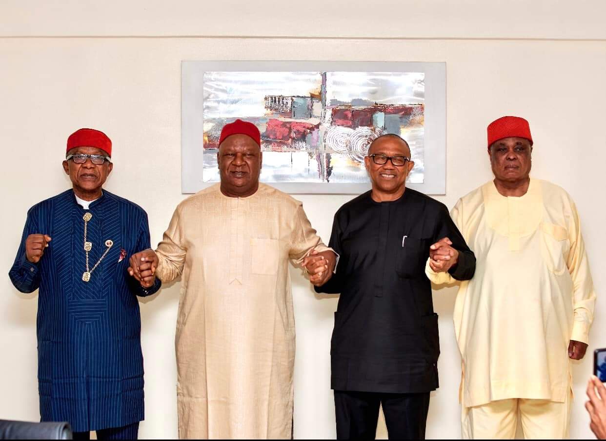 Presidential Primary: Igbo delegates betrayed Southeast - Group