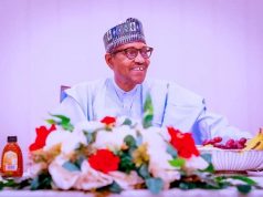 Buhari releases $100m take-up grant for presidential power programme