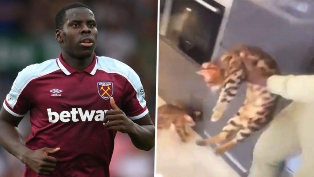 Kurt Zouma sentenced to 180 hours of community service for kicking a cat