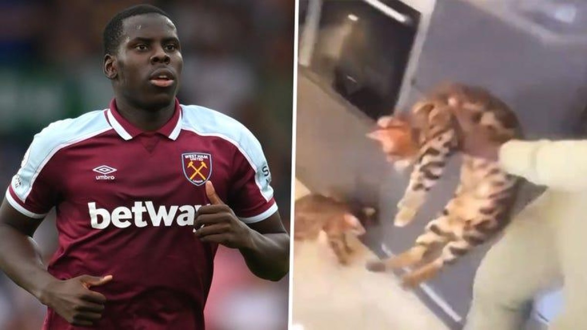 Kurt Zouma sentenced to 180 hours of community service for kicking a cat