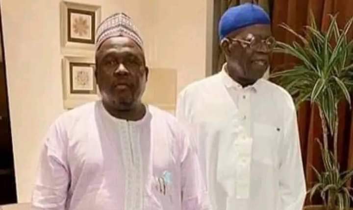Like his principal, Tinubu's 'running mate', Masari tells INEC he lost his school certificates