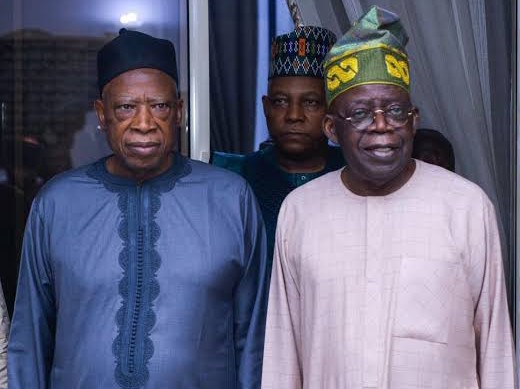 'Tinubu won't go unpunished' - Adamu vows