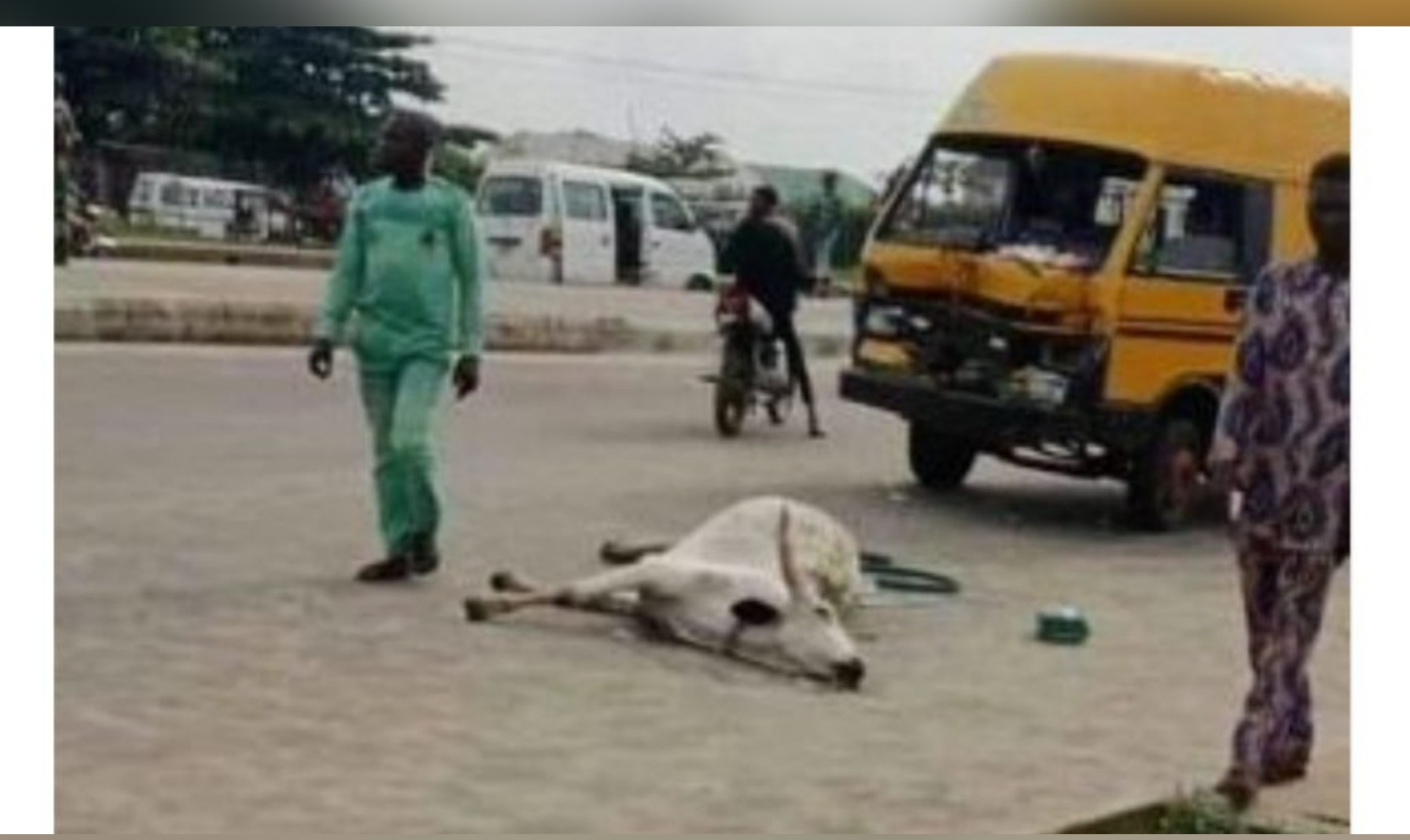 Police arrest herders who stabbed man to death over cow in Lagos