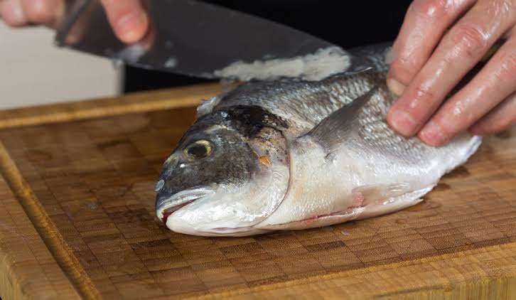 Nigeria imports $3.49bn worth of fish, eggs, others in two years