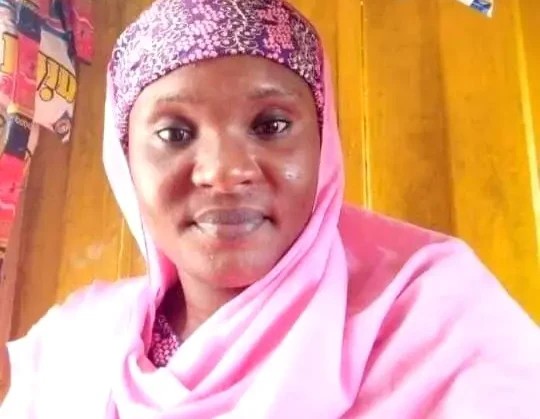 Kaduna bandits demand N50m in 48 hours for kidnapped mom, baby, vow to kill victims if...
