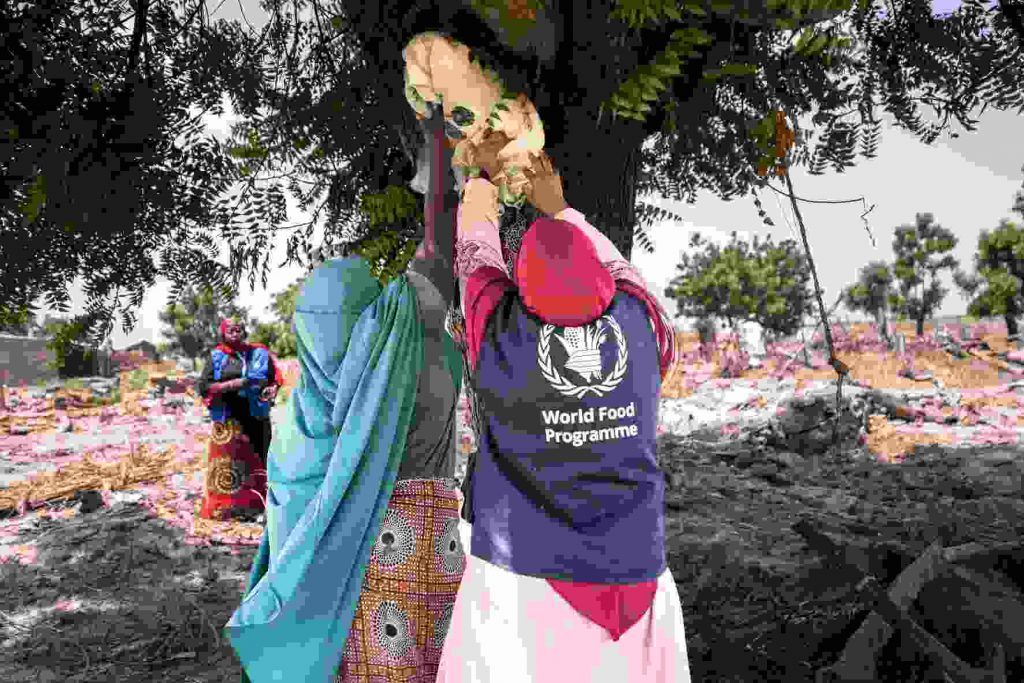 Millions stranded without aid as dire hunger crisis grips W'Africa amid WFP funding crisis