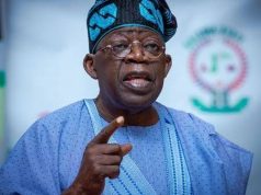2023: No one wants failure, you cannot give up on us - Tinubu