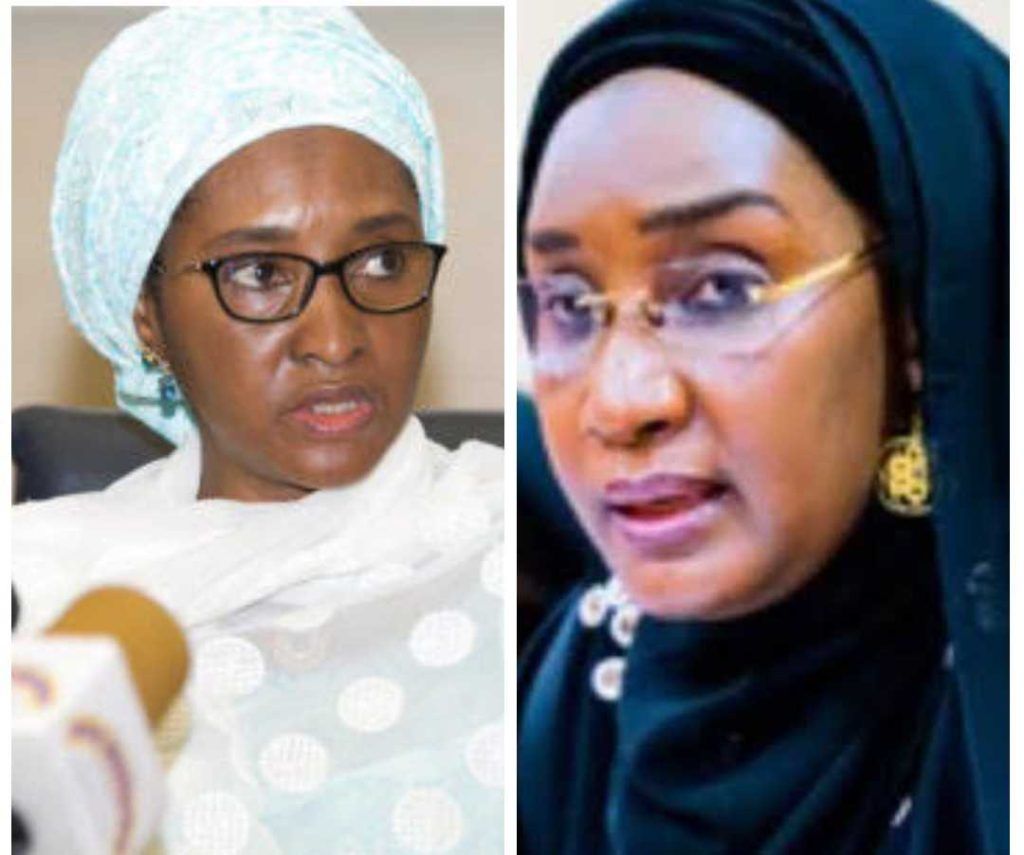 Humanitarian minister accuses Zainab Ahmed of masterminding N206bn budget padding