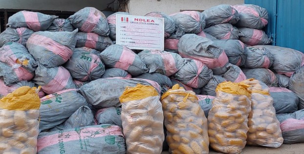 NDLEA impounds 4,878KG of Canadian Loud