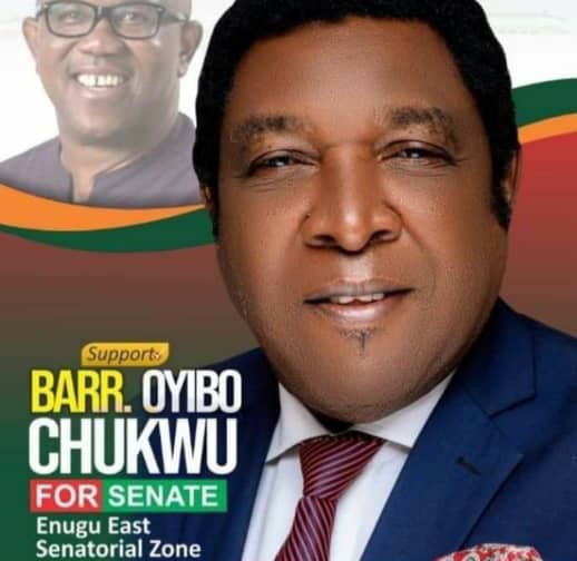 Peter Obi strongly condemns killing of Labour Party senatorial candidate, Oyibo Chukwu