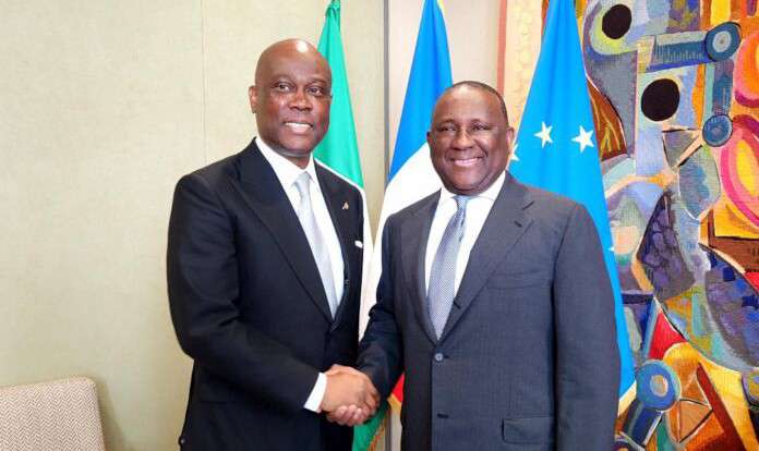 Herbert Wigwe succeeds Abdul Samad Rabiu as president of France/Nigeria Business Council