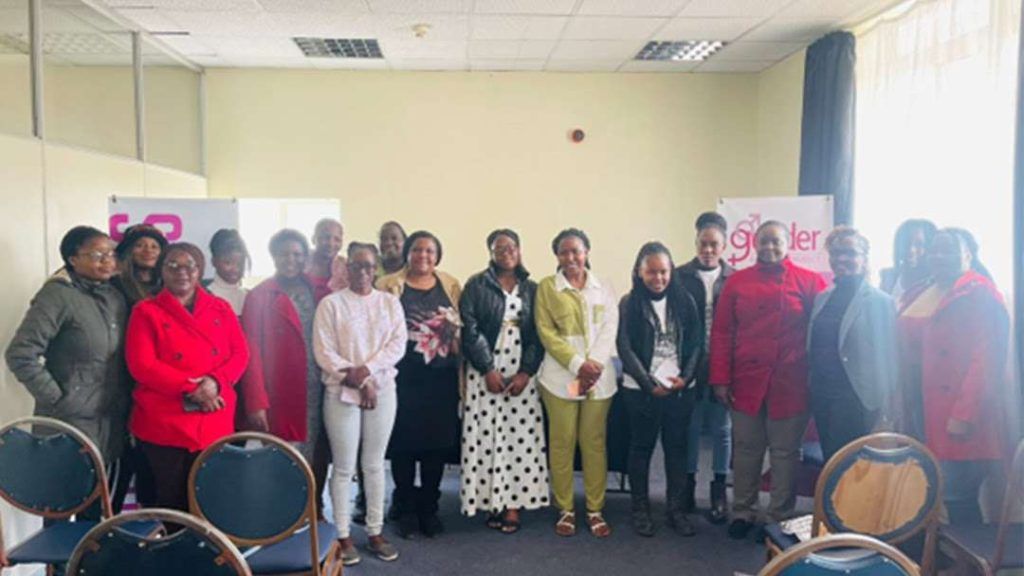 PIN, GMC raise awareness on digital rights ahead of Zimbabwe elections