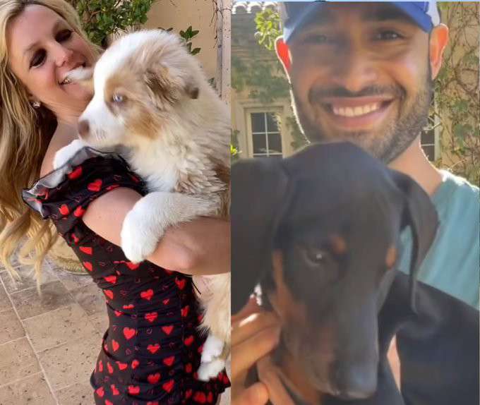 Britney Spears, Sam Asghari to share dogs amid divorce battle