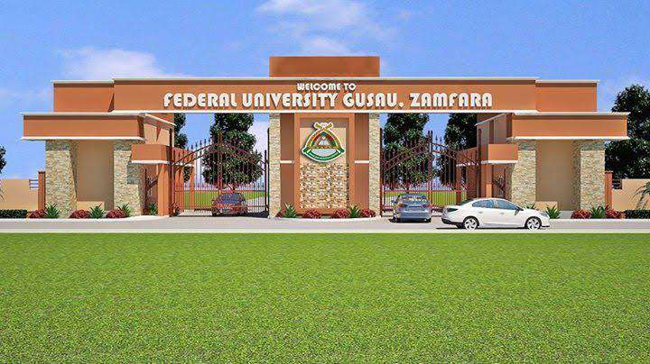 Soldiers rescue seven more Zamfara university students