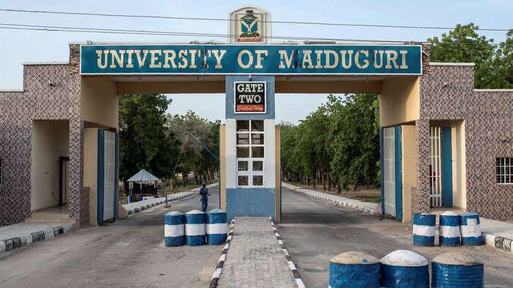 BUA Group donates N1bn entrepreneurship centre to University of Maiduguri