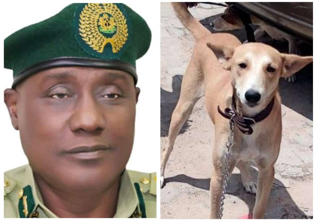 We spend more to feed dogs than inmates - NCS