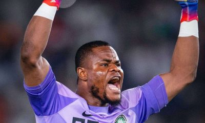 AFCON: Elation as Stanley Nwabali returns against Angola