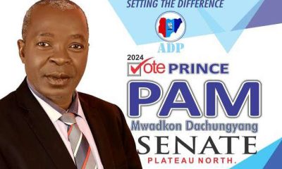 ADP's Dachungyang wins Plateau North senatorial election rerun