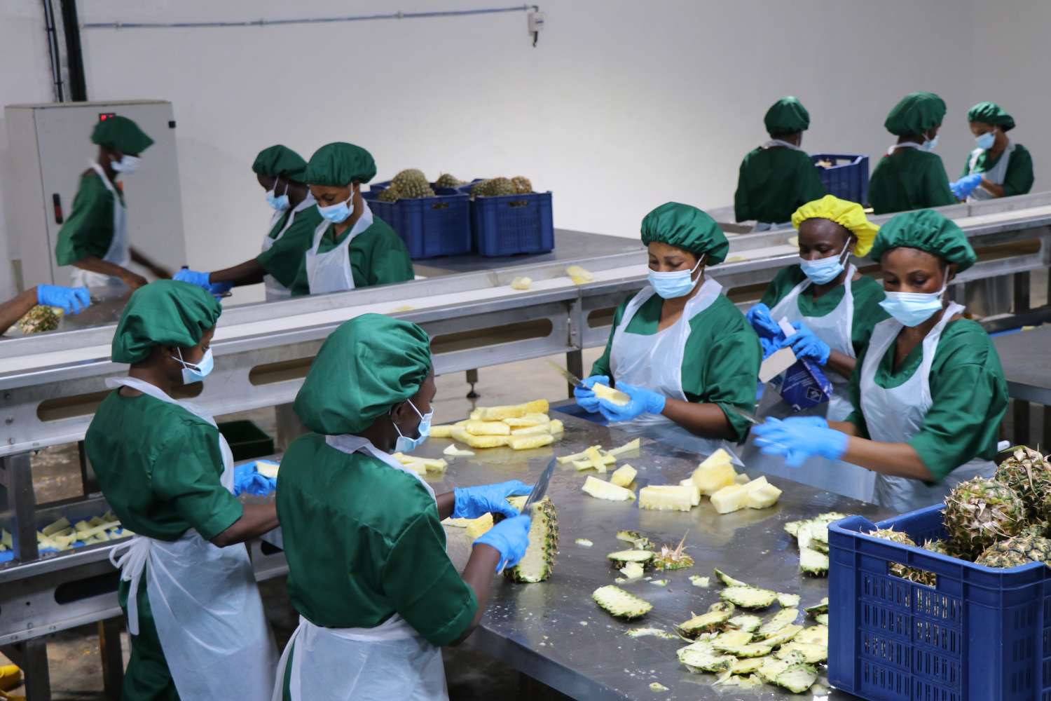 New ReelFruit, US govt unveil 800 MT dried fruit processing plant in Ogun