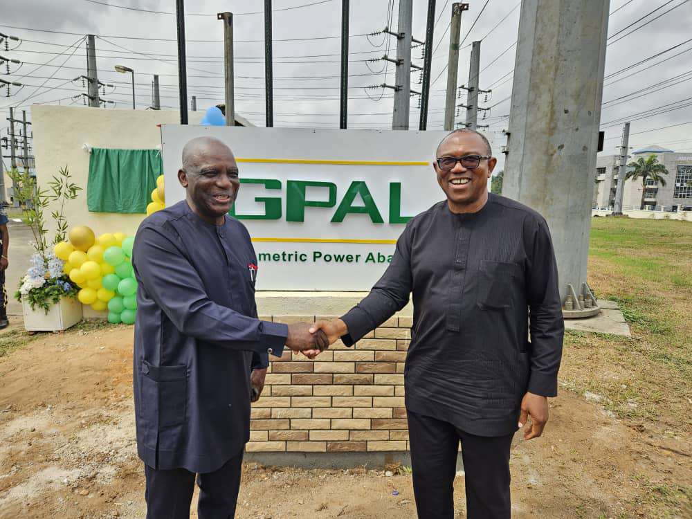 Geometric Power Project: Peter Obi supported us for many years - Nnaji