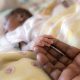 FG says 44 out of 100 newborn babies die in Sokoto