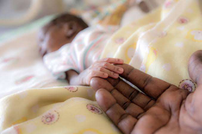 FG says 44 out of 100 newborn babies die in Sokoto
