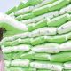 CBN donates 2.15 million bags of fertilisers to the Ministry of Agriculture