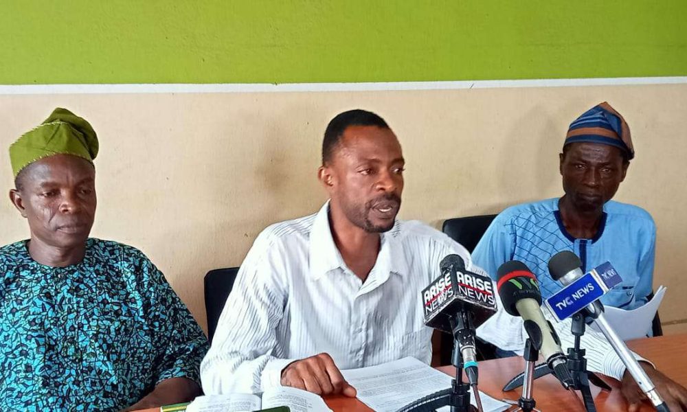 Service Extension: Group chides.Adeleke, assembly over 'conspiracy to collapse public service'