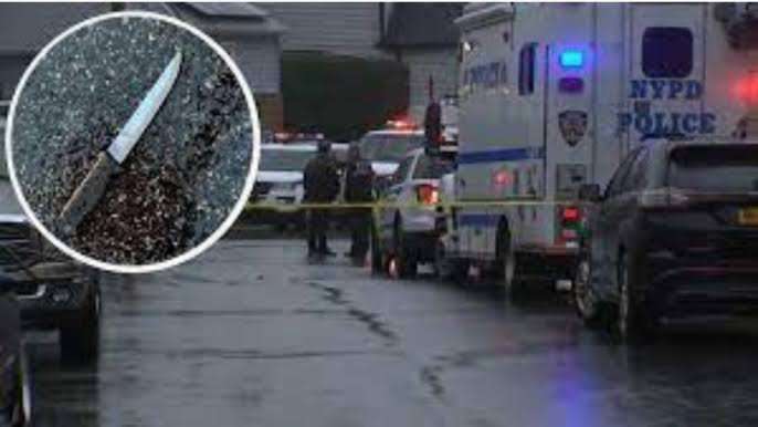 Man stabs four to death, inflict injuries on others in US