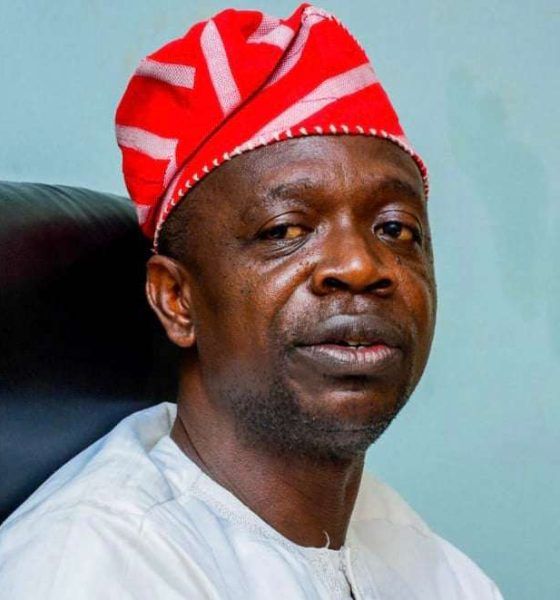 Senate approval of state police a historic milestone - Oyintiloye