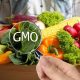 FG’s approval of GMO fails to douse concerns over safety, risk factors