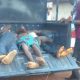 Many killed as suspected herdsmen attack Ebonyi community