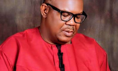 Regional police best for Nigeria, state police unrealistic - Elliot Uko