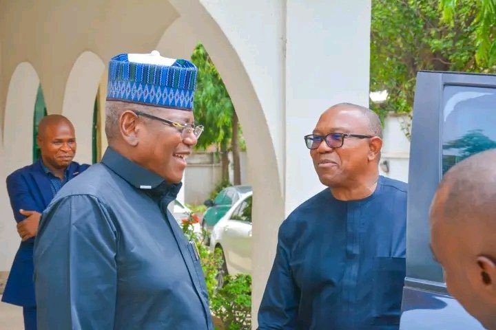 Peter Obi visits Atiku, Saraki, Lamido in Abuja
