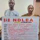 NDLEA intercepts cocaine shipment at Lagos hotel, apprehends suspects