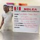 NDLEA nabs wanted drug baron in Lagos